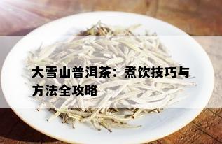 大雪山普洱茶：煮饮技巧与方法全攻略