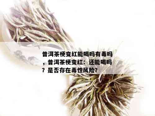 普洱茶梗变红能喝吗有吗，普洱茶梗变红：还能喝吗？是否存在性风险？