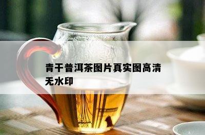 青干普洱茶图片真实图高清无水印