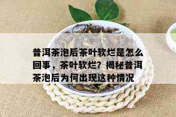 普洱茶泡后茶叶软烂是怎么回事，茶叶软烂？揭秘普洱茶泡后为何出现这种情况