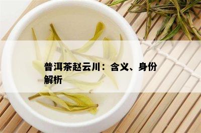 普洱茶赵云川：含义、身份解析