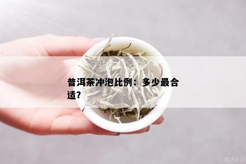 普洱茶冲泡比例：多少最合适？