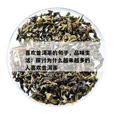 喜欢普洱茶的句子，品味生活：探讨为什么越来越多的人喜欢普洱茶