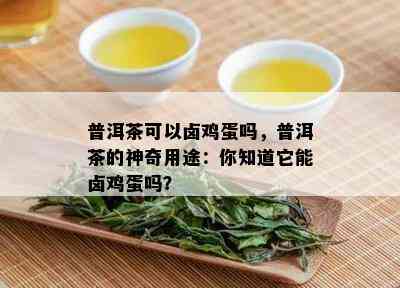 普洱茶可以卤鸡蛋吗，普洱茶的神奇用途：你知道它能卤鸡蛋吗？