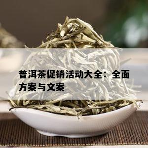 普洱茶促销活动大全：全面方案与文案