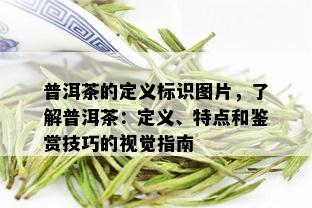 普洱茶的定义标识图片，了解普洱茶：定义、特点和鉴赏技巧的视觉指南