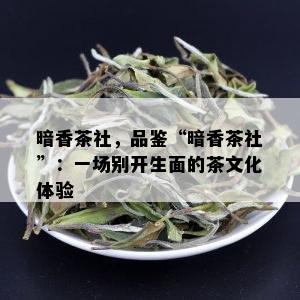 暗香茶社，品鉴“暗香茶社”：一场别开生面的茶文化体验