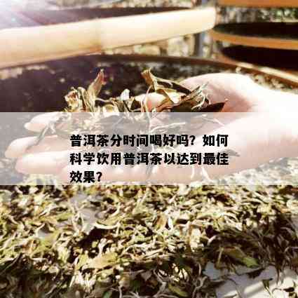 普洱茶分时间喝好吗？如何科学饮用普洱茶以达到更佳效果？