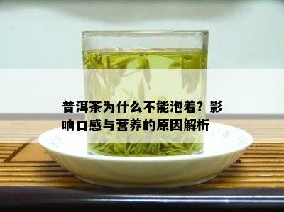 普洱茶为什么不能泡着？影响口感与营养的原因解析