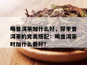 喝普洱茶加什么好，探索普洱茶的完美搭配：喝普洱茶时加什么更好？