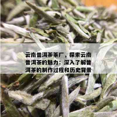 云南普洱茶茶厂，探索云南普洱茶的魅力：深入了解普洱茶的制作过程和历史背景