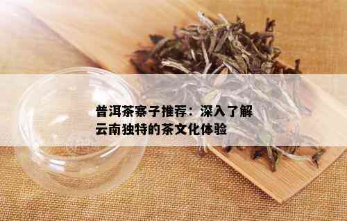 普洱茶寨子推荐：深入了解云南独特的茶文化体验