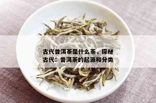 古代普洱茶是什么茶，探秘古代：普洱茶的起源和分类