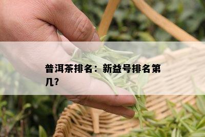 普洱茶排名：新益号排名第几？