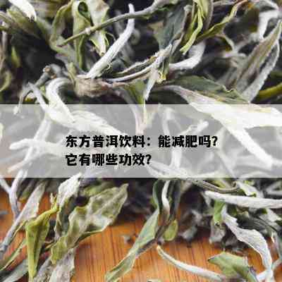 东方普洱饮料：能减肥吗？它有哪些功效？