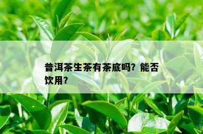 普洱茶生茶有茶底吗？能否饮用？