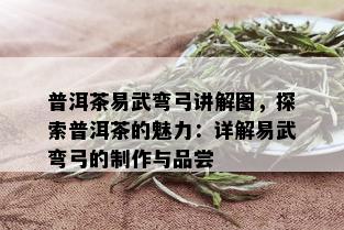 普洱茶易武弯弓讲解图，探索普洱茶的魅力：详解易武弯弓的制作与品尝