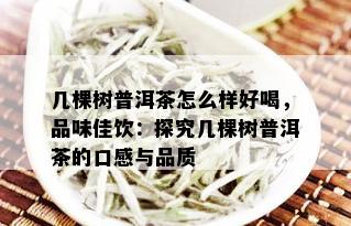 几棵树普洱茶怎么样好喝，品味佳饮：探究几棵树普洱茶的口感与品质