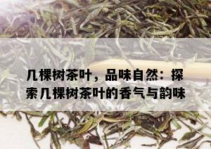 几棵树茶叶，品味自然：探索几棵树茶叶的香气与韵味