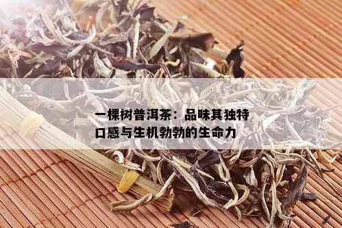 一棵树普洱茶：品味其独特口感与生机勃勃的生命力