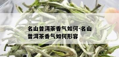 名山普洱茶香气如何-名山普洱茶香气如何形容