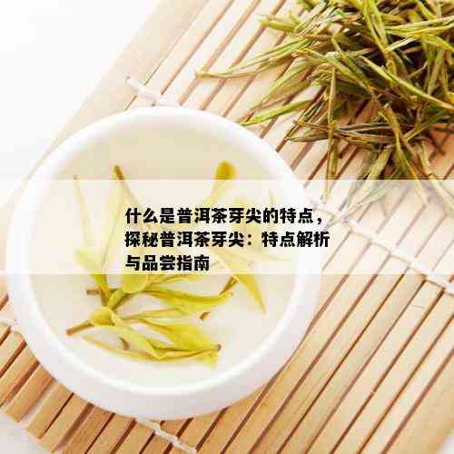 什么是普洱茶芽尖的特点，探秘普洱茶芽尖：特点解析与品尝指南