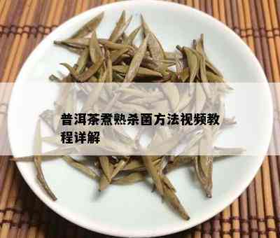 普洱茶煮熟杀菌方法视频教程详解