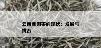 云南普洱茶的现状：发展与挑战