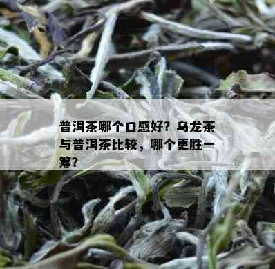 普洱茶哪个口感好？乌龙茶与普洱茶比较，哪个更胜一筹？