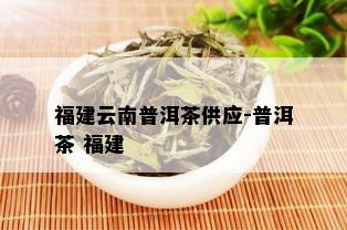 福建云南普洱茶供应-普洱茶 福建