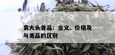 袁大头普品：含义、价格及与美品的区别