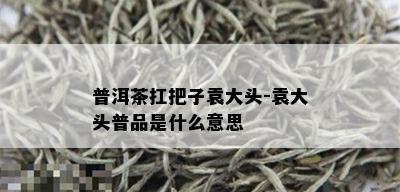 普洱茶扛把子袁大头-袁大头普品是什么意思