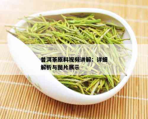 普洱茶原料视频讲解：详细解析与图片展示