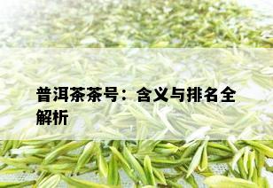 普洱茶茶号：含义与排名全解析