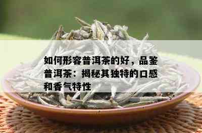 如何形容普洱茶的好，品鉴普洱茶：揭秘其独特的口感和香气特性