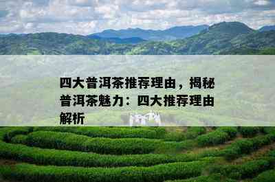 四大普洱茶推荐理由，揭秘普洱茶魅力：四大推荐理由解析