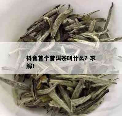 抖音首个普洱茶叫什么？求解！