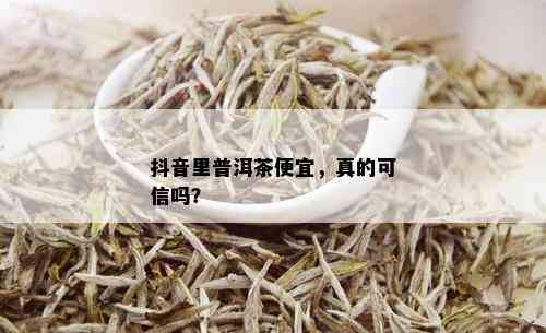 抖音里普洱茶便宜，真的可信吗？