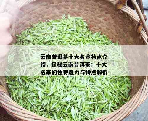 云南普洱茶十大名寨特点介绍，探秘云南普洱茶：十大名寨的独特魅力与特点解析