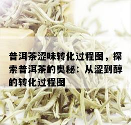 普洱茶涩味转化过程图，探索普洱茶的奥秘：从涩到醇的转化过程图