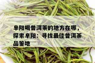 阜阳喝普洱茶的地方在哪，探索阜阳：寻找更佳普洱茶品鉴地