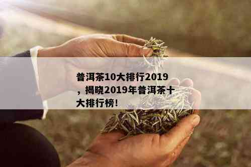 普洱茶10大排行2019，揭晓2019年普洱茶十大排行榜！