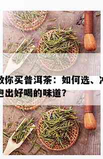 教你买普洱茶：如何选、冲泡出好喝的味道？