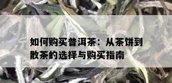 如何购买普洱茶：从茶饼到散茶的选择与购买指南