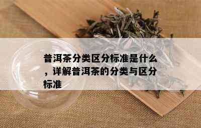 普洱茶分类区分标准是什么，详解普洱茶的分类与区分标准