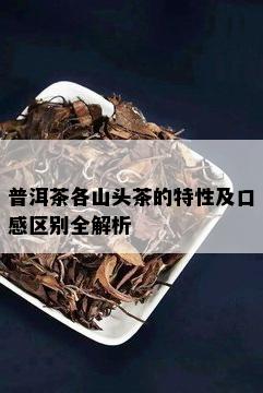 普洱茶各山头茶的特性及口感区别全解析