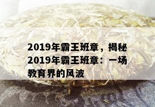 2019年霸王班章，揭秘2019年霸王班章：一场教育界的风波