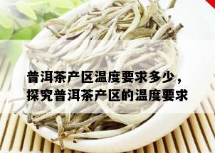 普洱茶产区温度要求多少，探究普洱茶产区的温度要求