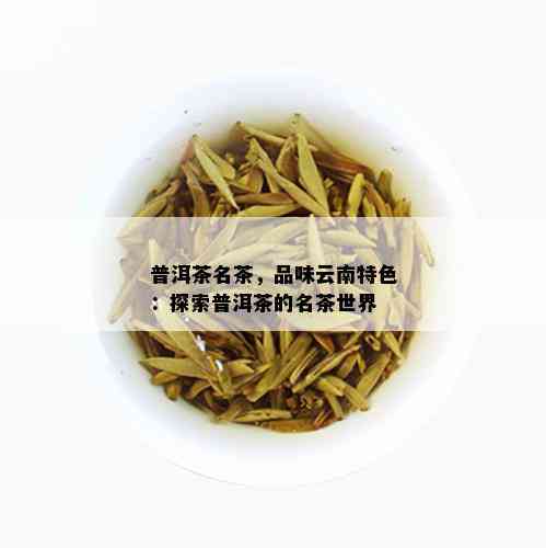 普洱茶名茶，品味云南特色：探索普洱茶的名茶世界