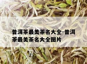 普洱茶最美茶名大全-普洱茶最美茶名大全图片